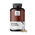 Tribulus Terrestris -1920 mg-180 Capsule